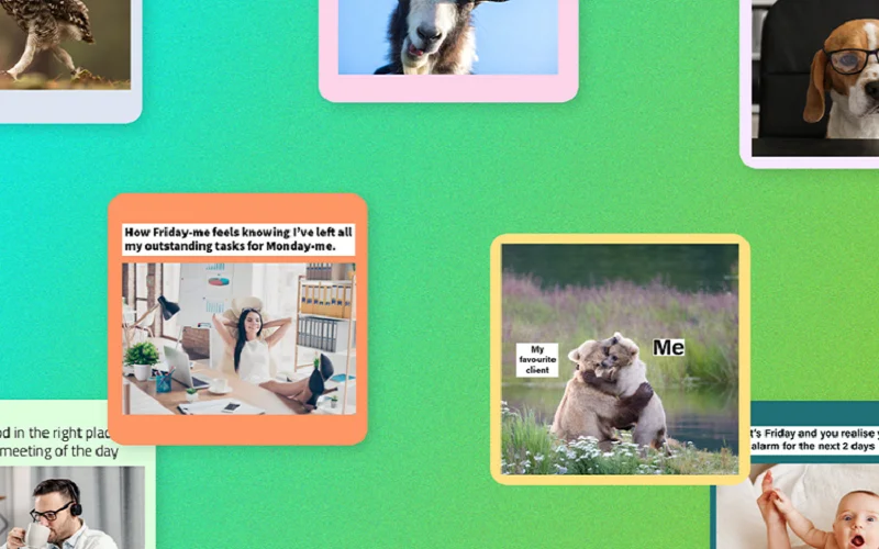 internet memes language